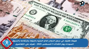 هبوط طفيف في سعر الدولار أمام الجنيه بالبنوك وارتفاعه بالسوق السوداء يوم الثلاثاء 5 أغسطس 2025 – تعرف على التفاصيل